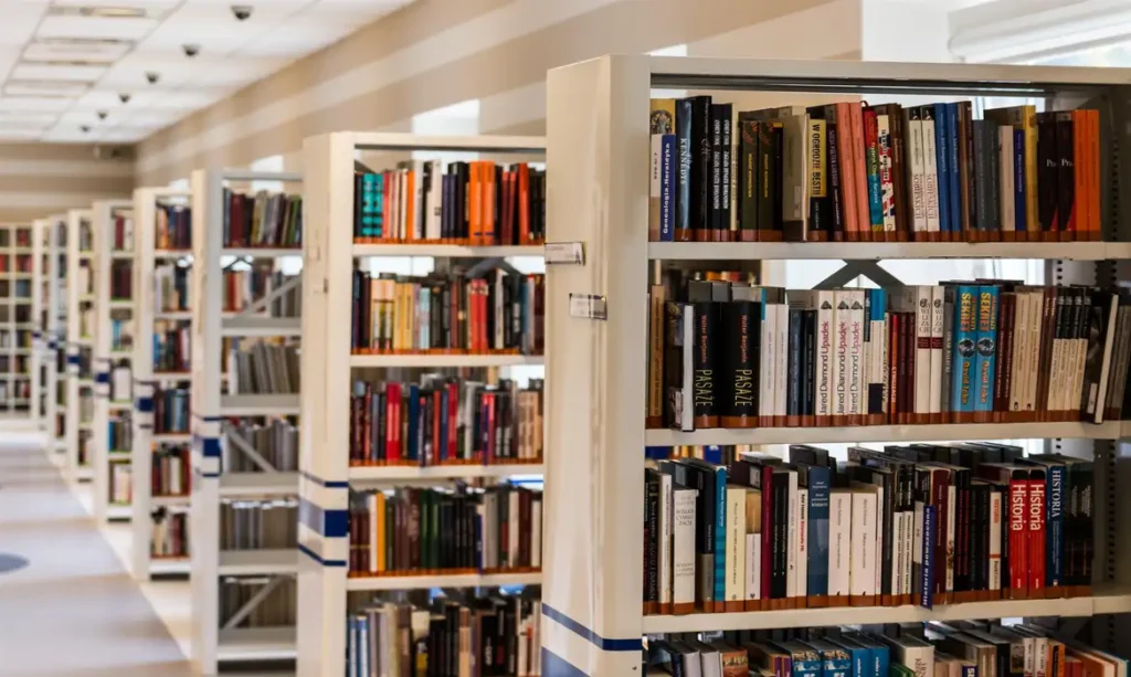 Mulheres jovens lideram leitura nas periferias de SP, aponta pesquisa 8 Biblioteca, Livros, Estantes de livros. Foto: jarmoluk/PixaBay